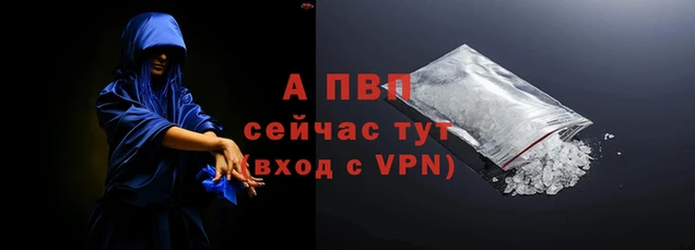 молекула духа Новокубанск