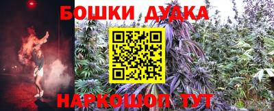 крисы Нальчик