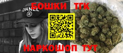 крисы Нальчик