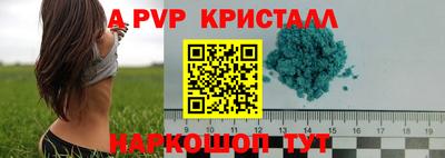 крисы Нальчик