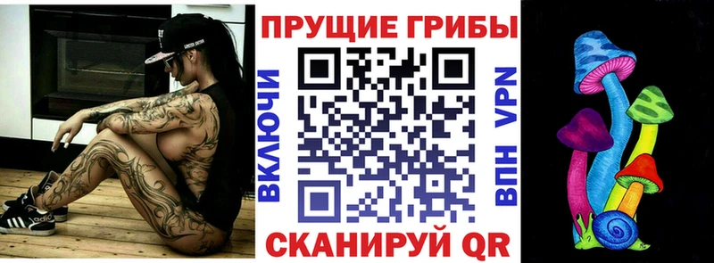 закладки  MEGA ТОР  даркнет как зайти  Октябрьский  Галлюциногенные грибы Cubensis 